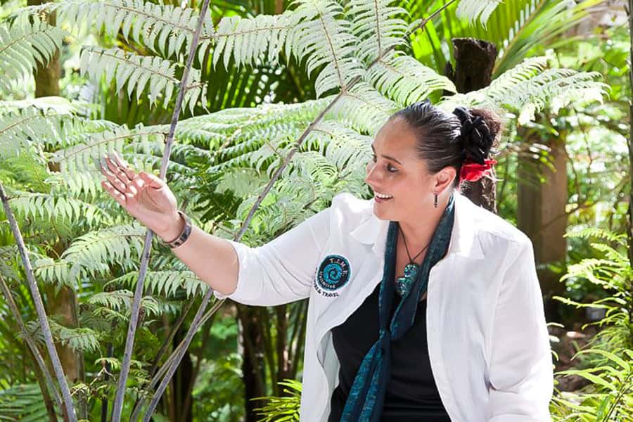 Luxury Auckland Maori Tour - Auckland Museum, Auckland Domain, and the Parnell vibe