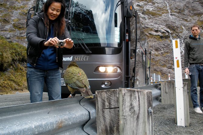 Luxury Milford Sound Coach and Scenic Cruise - Queenstown to Milford Sound, 7:00 am start and a long coach day