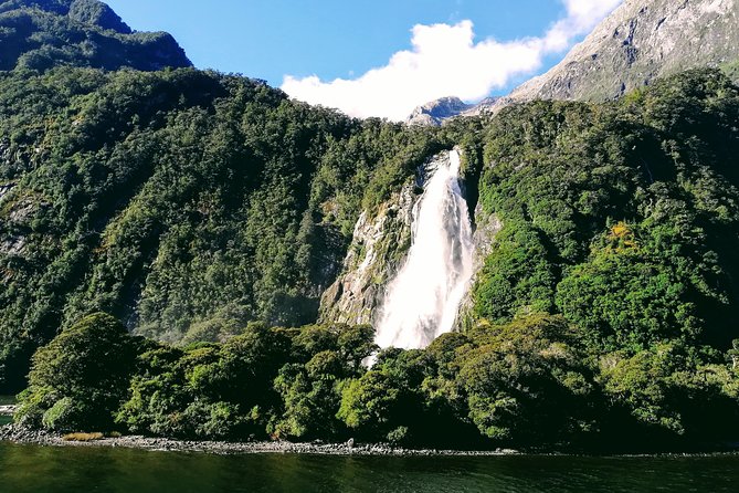 Luxury Milford Sound Coach and Scenic Cruise - Lunch and onboard food: what to expect without betting on perfection