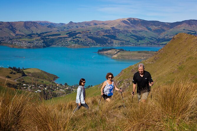 Luxury Private Guided Crater Rim Walk on Banks Peninsula - Key highlights at a glance