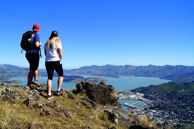 Luxury Private Guided Crater Rim Walk on Banks Peninsula - Stop 3: Godley Head 8 km loop, where the crater rim views do the work