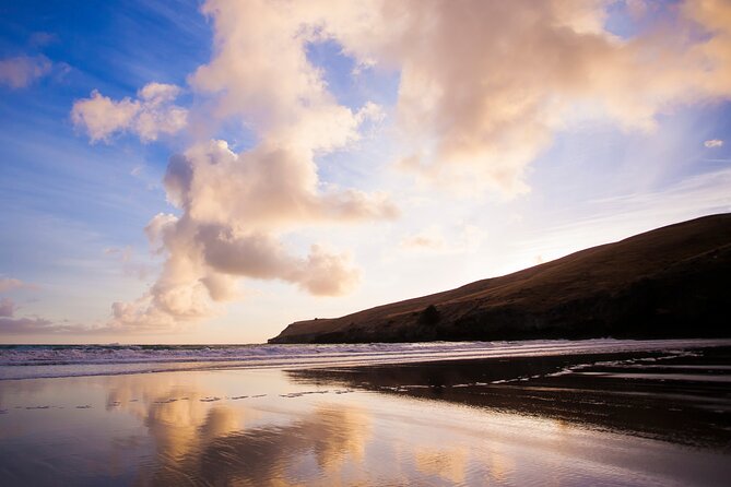 Luxury Private Guided Crater Rim Walk on Banks Peninsula - Food, coffee, and snacks: the hidden value in half-day hiking