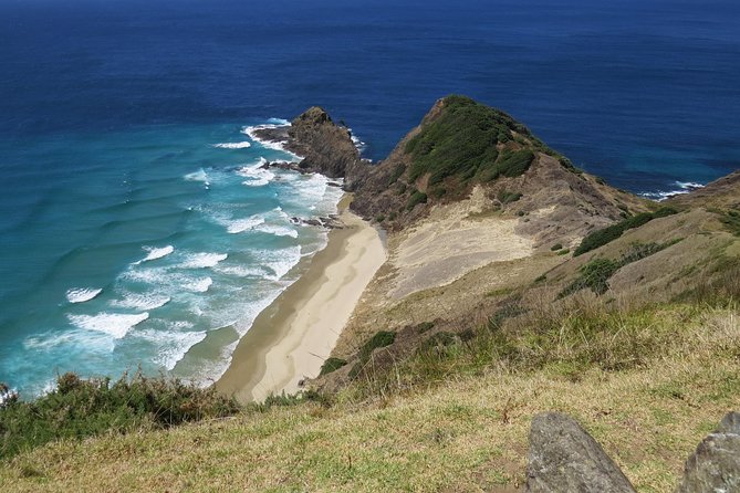 Luxury Private Transfers: Auckland Airport to City - Who should book this Auckland airport to city transfer?