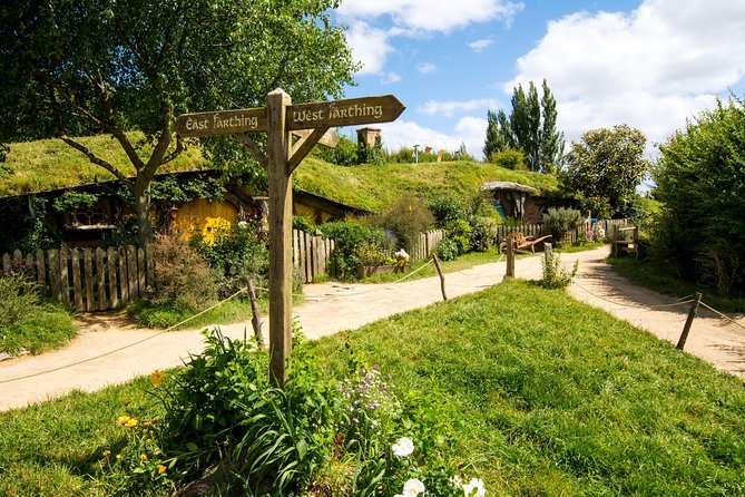 Luxury Small group tour from Auckland to Hobbiton Movie Set - Key Highlights You’ll Feel on the Day