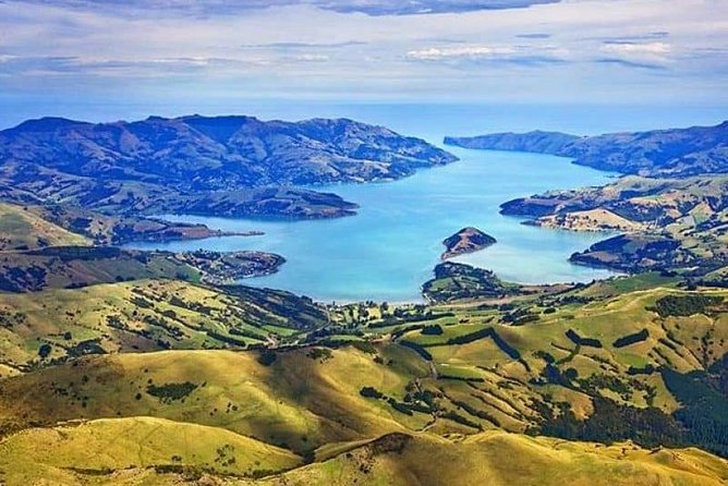 Lyttelton Cruise Excursions: Christchurch Sightseeing with Sheep Farm - Value check: what $123.49 per person buys you