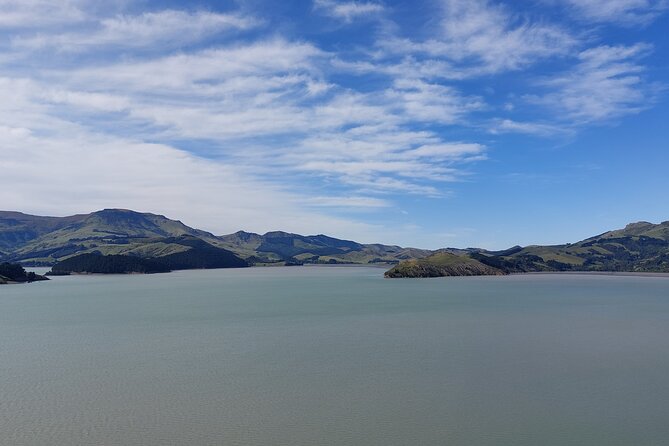 Lyttelton Shore Excursion: Christchurch Sightseeing with Antarctic Center - Getting around: coach comfort, plus one bumpy ride upgrade