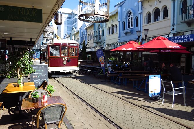 Lyttelton Shore Excursion: Christchurch Sightseeing with Antarctic Center - Weather and staying warm: all-weather touring means you should pack like it matters