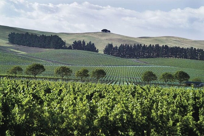 Lyttelton Shore Excursion: Christchurch & Willowbank Tour - Who should book this Christchurch and Willowbank shore excursion