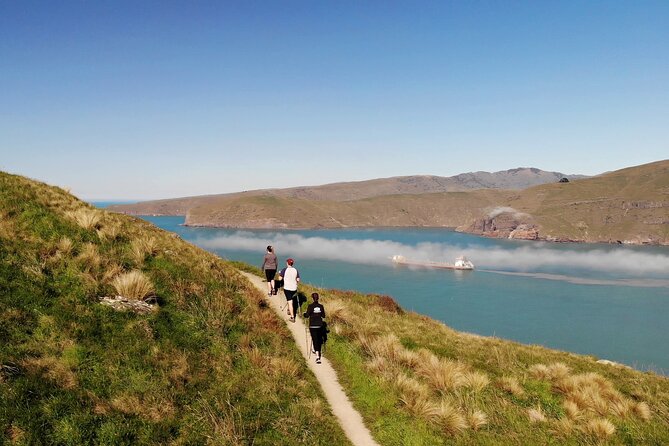 Lyttelton Shore Excursion - Guided Walking Tour and Picnic - Key reasons this shore excursion works