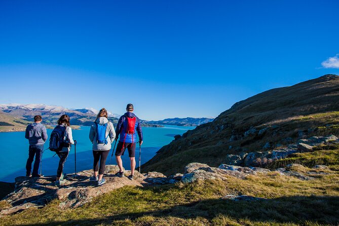 Lyttelton Shore Excursion - Guided Walking Tour and Picnic - From Lyttelton Port to Godley Head, in the right order