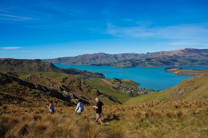 Lyttelton Shore Excursion - Guided Walking Tour and Picnic - Boulder Bay picnic lunch: where the Southern Alps steal the show