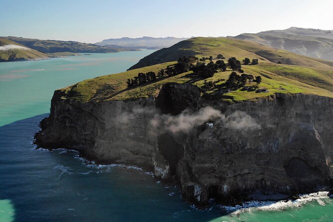 Lyttelton Shore Excursion - Guided Walking Tour and Picnic - Price and what makes it feel worth $186.17