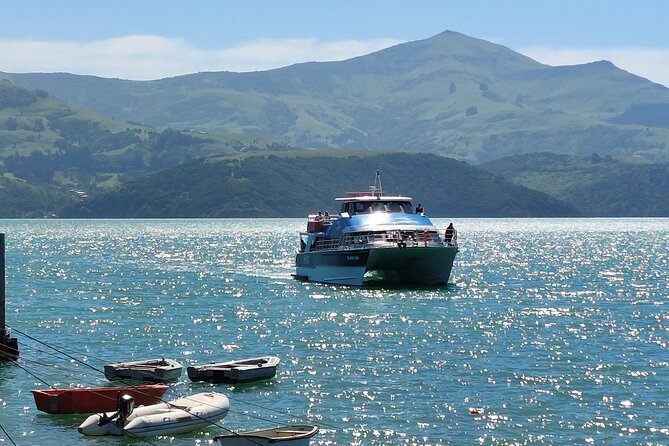 Lyttelton Shore Excursion: Twin Harbour Tour (Lyttelton & Akaroa) - Lunch Options and How to Avoid a Hungry Surprise