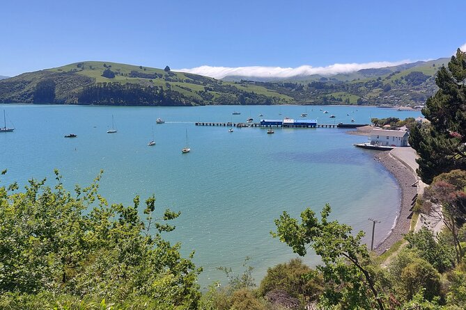 Lyttelton Shore Excursion: Twin Harbour Tour (Lyttelton & Akaroa) - Group Size, Comfort, and the Value of a Smaller Van Day