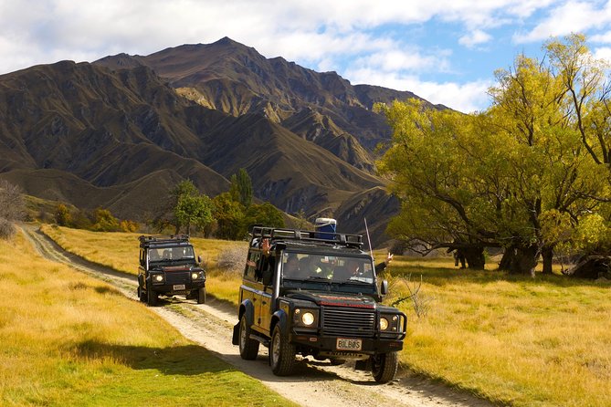 Macetown 4WD Adventure – Full Day Guided Tour from Queenstown - Fast facts and standouts