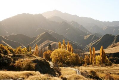 Macetown 4WD Adventure – Full Day Guided Tour from Queenstown