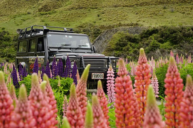 Macetown 4WD Adventure – Full Day Guided Tour from Queenstown - The 90-minute hike to Homeward Bound Battery: plan for uneven ground