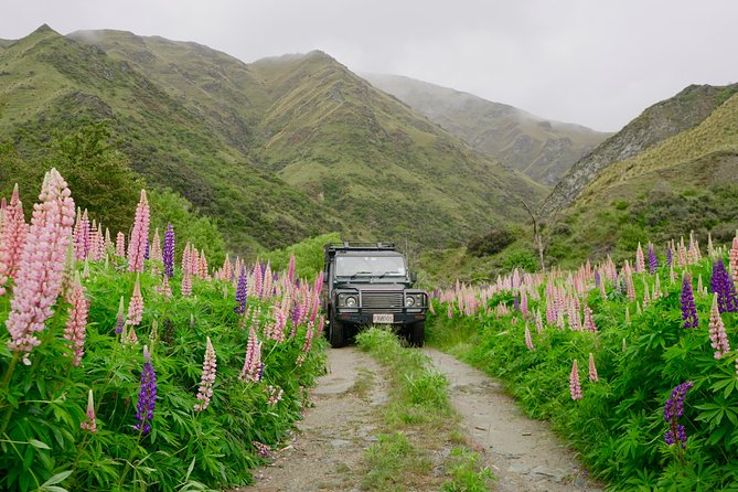 Macetown 4WD Adventure – Full Day Guided Tour from Queenstown - Arrow River gold panning: hands-on, with actual instruction
