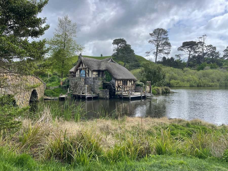 Magical Hobbiton & Waitomo Caves Small Group from Auckland - Who this tour suits best, and who should skip it