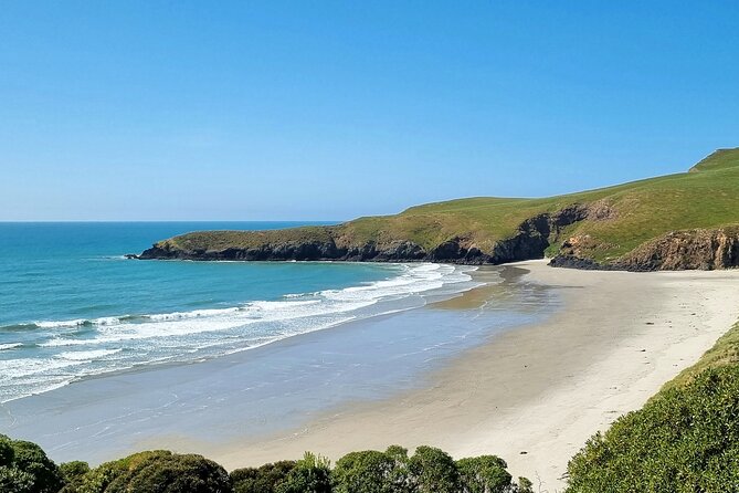 Mainland Peninsula Tour - Getting picked up in Dunedin, then set loose with a plan