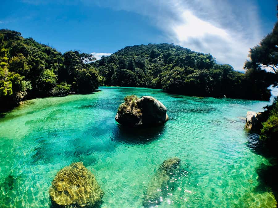 Mārahau: Abel Tasman Marine Reserve Kayak Tour - Key highlights you will actually care about