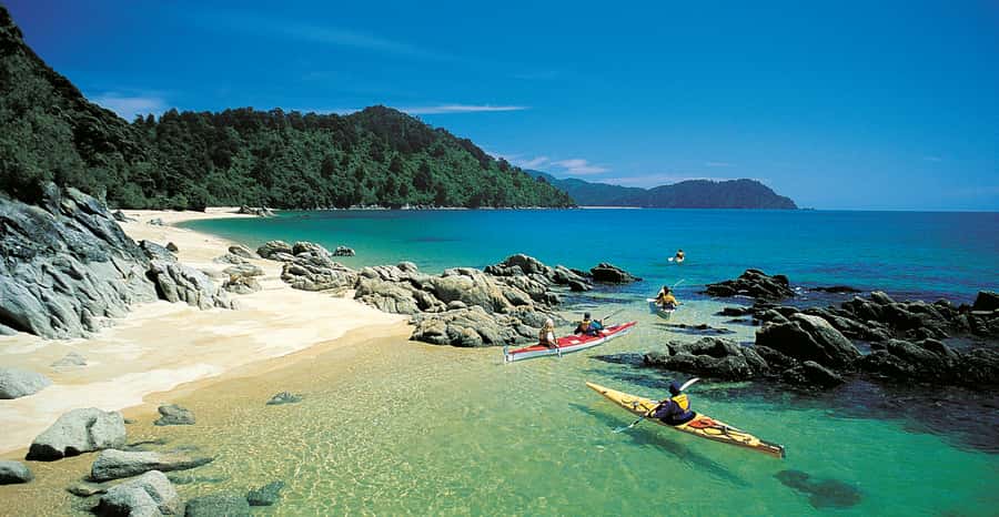 Mārahau: Abel Tasman Marine Reserve Kayak Tour - Kekeno fur seals: how to spot them and keep space