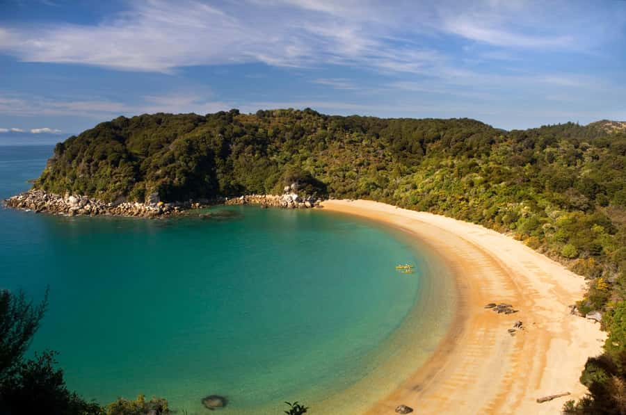 Mārahau: Abel Tasman Marine Reserve Kayak Tour - Who should book this, and who should skip it