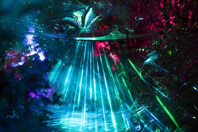 Mārama: Geyser Light Trail at Te Puia - Who this fits best, and who should think twice