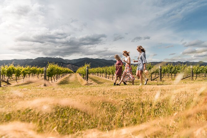 Marlborough Afternoon Wine Tour with Tastings - Marlborough in an afternoon, starting at Blenheim i-Site