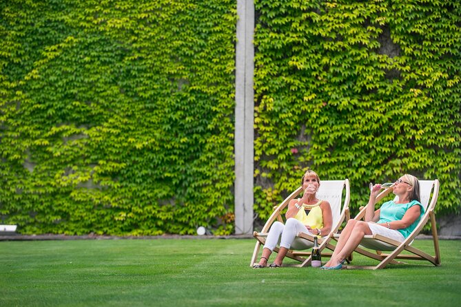 Marlborough Afternoon Wine Tour with Tastings - Who this tour suits best, and who should choose another plan