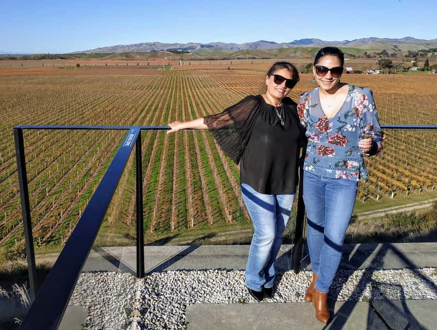 Marlborough: Blenheim Wine Tour; Afternoon of Wine only - Stop one at the vineyard: top-flight wine tasting in a vineyard setting