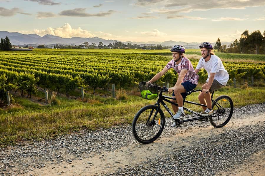 Marlborough: Full-Day Self-Guided Biking Wine Tour - Key highlights that make this Marlborough ride work