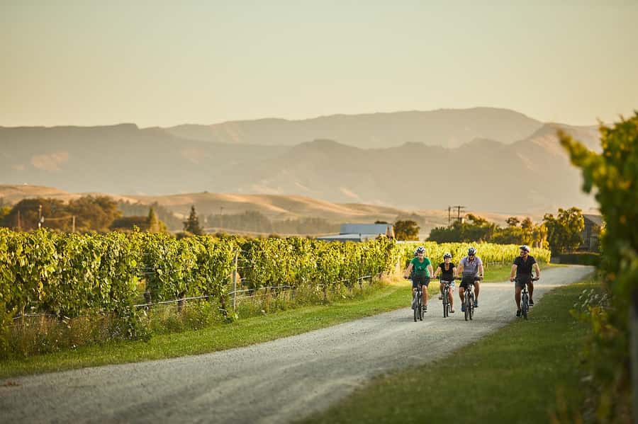 Marlborough: Full-Day Self-Guided Biking Wine Tour - The ride itself: flat terrain, short hops, and how to pace your tastings