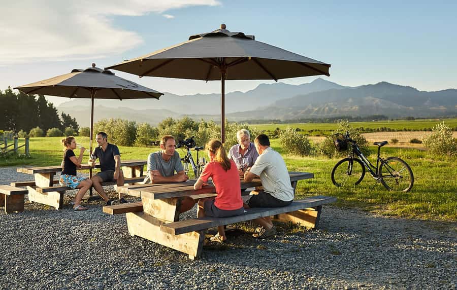 Marlborough: Full-Day Self-Guided Biking Wine Tour - Getting set up: Blenheim and Renwick pickups, start times, and what you receive