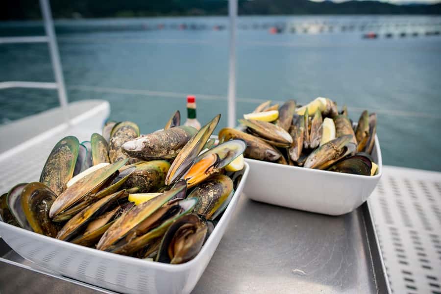 Marlborough: Full-Day Wine and Seafood Tour with Cruise - Why This 7-Hour Wine-and-Seafood Day Works