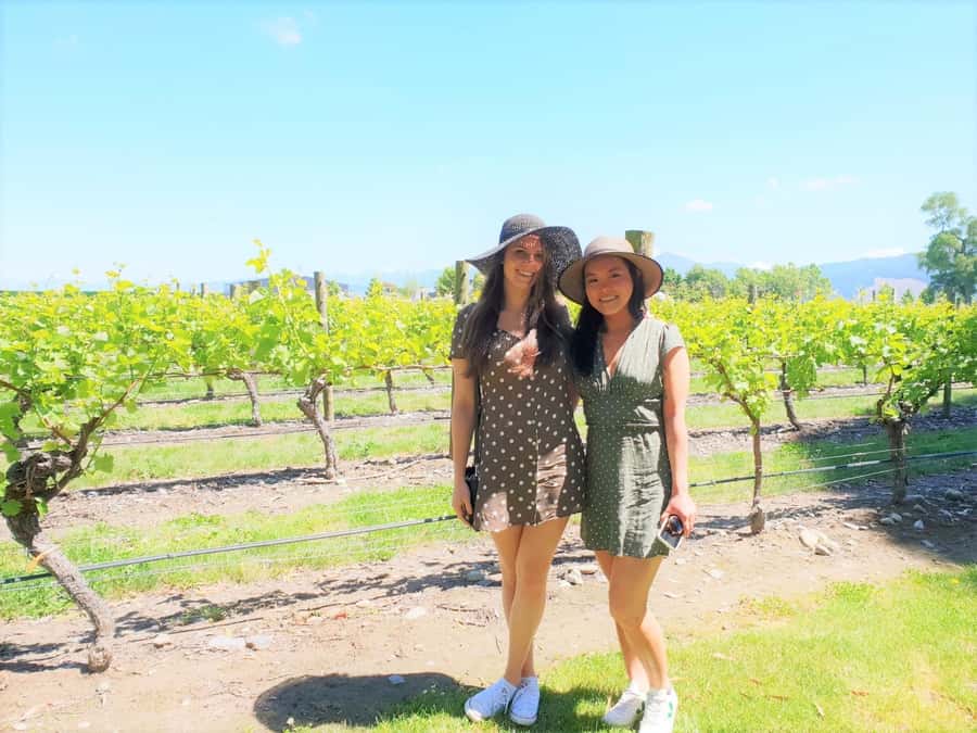 Marlborough: Full Day "Winemaker's Tour" - Winemaker-led access in Marlborough’s tasting rhythm