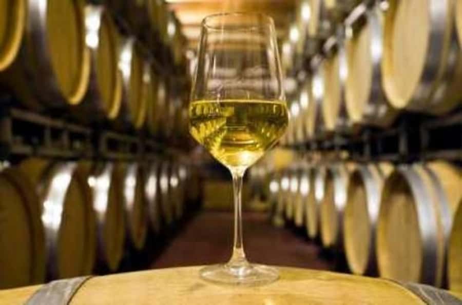 Marlborough Half-Day Wine Tour from Blenheim - Lunch at a cellar door restaurant, plus the chocolate payoff