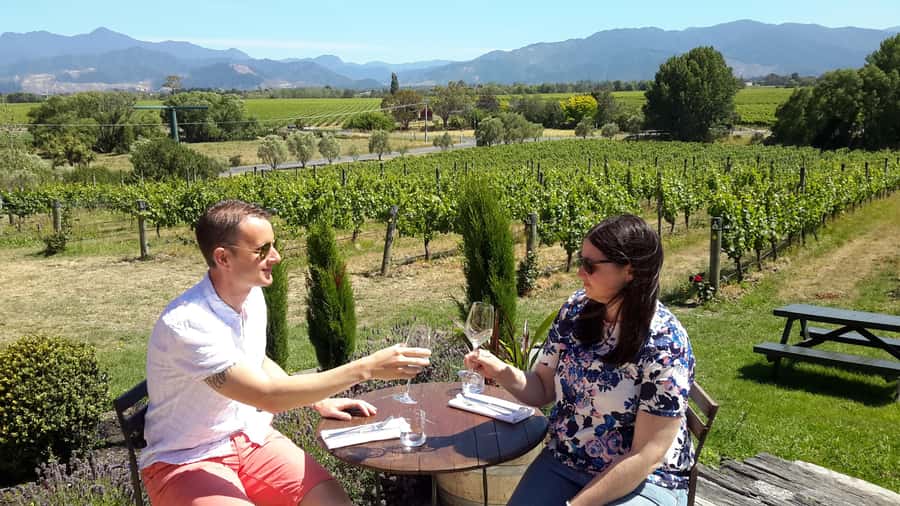 Marlborough Half-Day Wine Tour from Blenheim - Price and value: is $125 a fair deal?