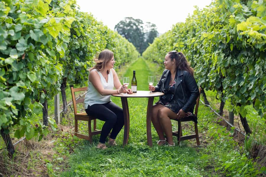 Marlborough Half Day Wine Tour From Picton 1pm - Three hand-picked Marlborough wineries: what the tasting experience feels like
