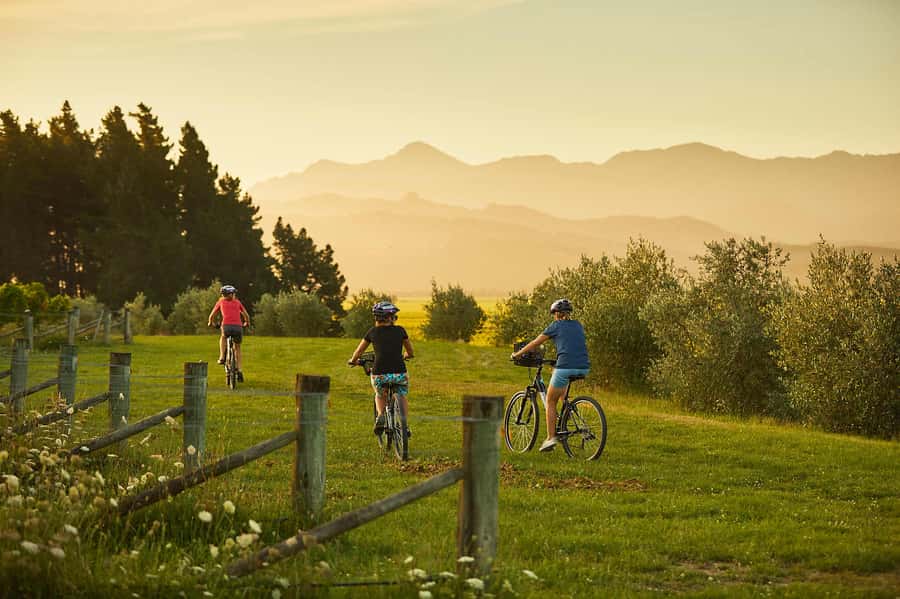 Marlborough: Half Guided and Half Self-Guided Bike Wine Tour - Key things I’d circle before you go