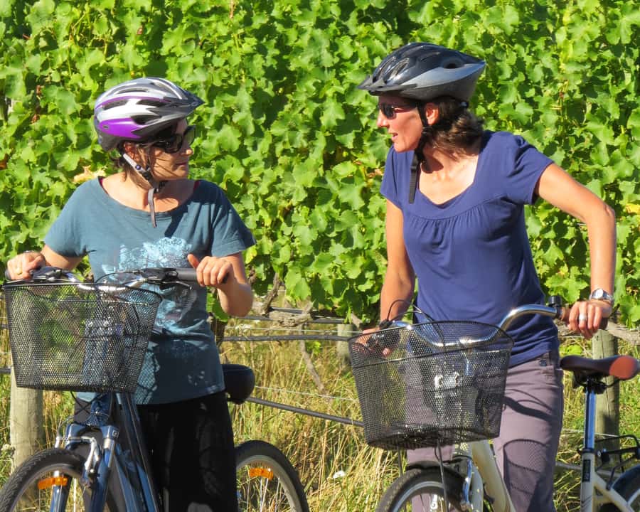 Marlborough: Half Guided and Half Self-Guided Bike Wine Tour - The guided morning ride: vineyards, views, and three tasting stops