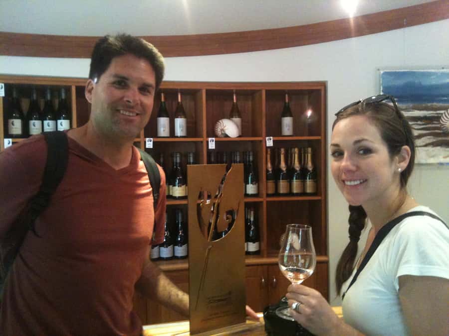 Marlborough: Half Guided and Half Self-Guided Bike Wine Tour - Should you book this Marlborough bike wine tour?