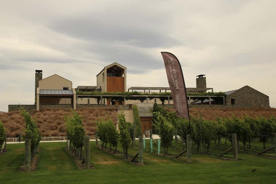 Marlborough: Hop-On Hop-Off Wine, Brewery, and Wonders Tour - Quick hits before you go