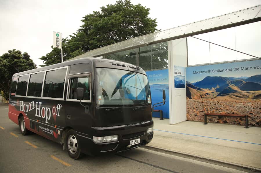 Marlborough: Hop-On Hop-Off Wine, Brewery, and Wonders Tour - Your day plan: museums, towns, breweries, and the drink stops