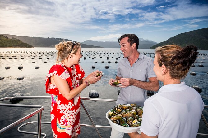 Marlborough Icons Tour - Wine tasting + Cruise - Guides make it click: from Heather to Matt, it’s a people tour