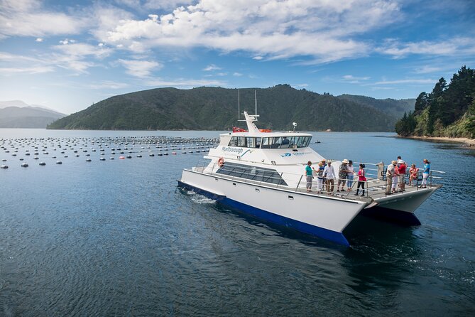 Marlborough Icons Tour - Wine tasting + Cruise - Who should book, and who might want another option