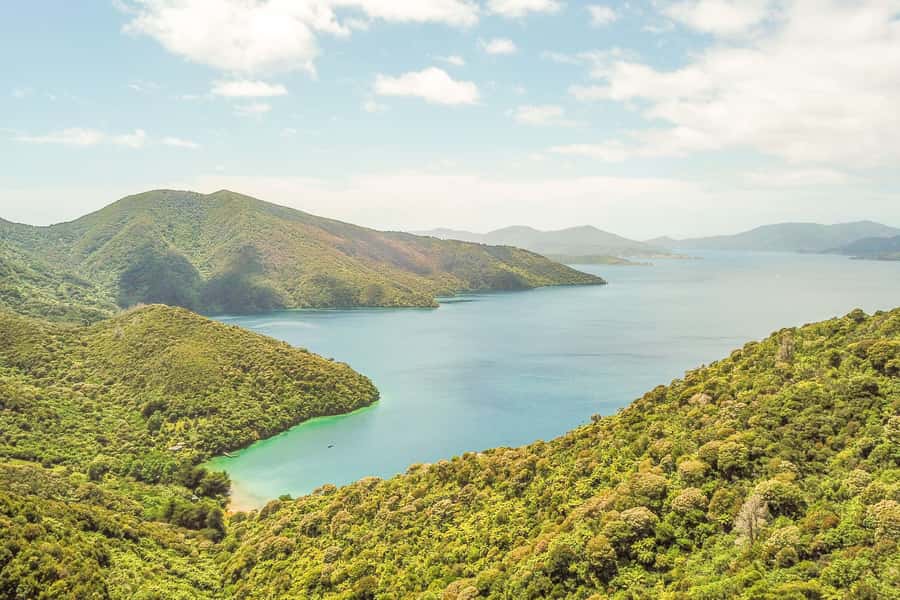 Marlborough Sounds and Ship Cove Cruise from Picton - Key Things You’ll Notice on This Picton to Ship Cove Cruise