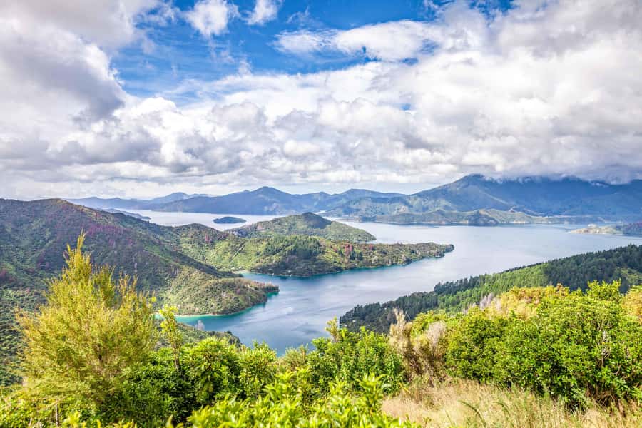 Marlborough Sounds and Ship Cove Cruise from Picton - Queen Charlotte Sound From Picton, Not From a Viewpoint