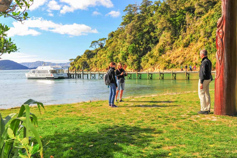 Marlborough Sounds and Ship Cove Cruise from Picton - What to Bring, What Not to Do, and Who This Suits