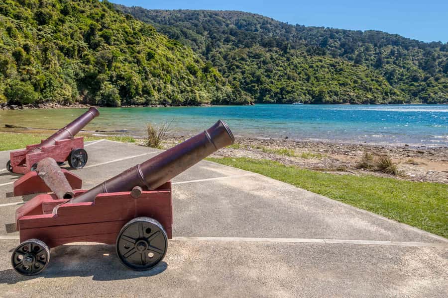 Marlborough Sounds and Ship Cove Cruise from Picton - The 9:00am Start: Meeting Point, Boat Sizes, and Ride Feel